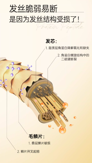 Spes 诗裴丝护发精油 清爽不油腻 烫染修护干枯毛躁|Spes Hair Oil, Non-Greasy, Repair Dry & Frizzy Damaged Hair